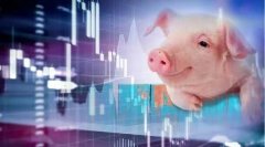 股票配资公司下载|节后'三连涨'发改委最新表态 本周投放第二批猪肉储备 后续价格怎么走？